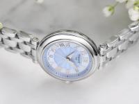 天梭手表灰屏修复秘籍：实用技巧轻松搞定